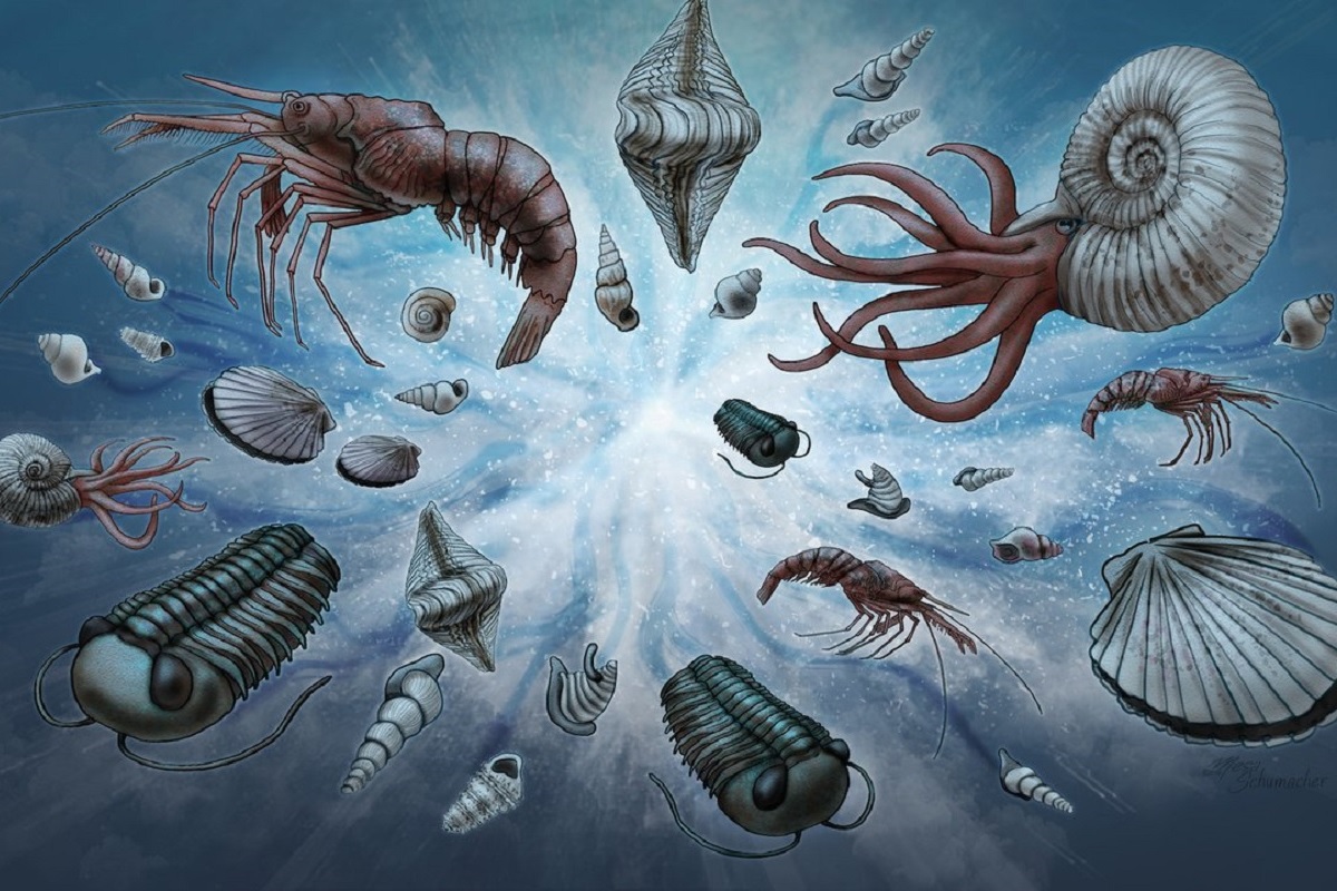 💥生命大爆发：地球“摇摆”加速进化！