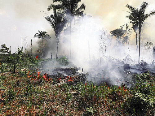 🔥亚马逊：雨季毁林，旱季烧荒，地球之肺何去何从？