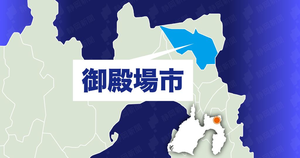 🚨店里试穿包，竟被偷走！两名嫌疑人落网！