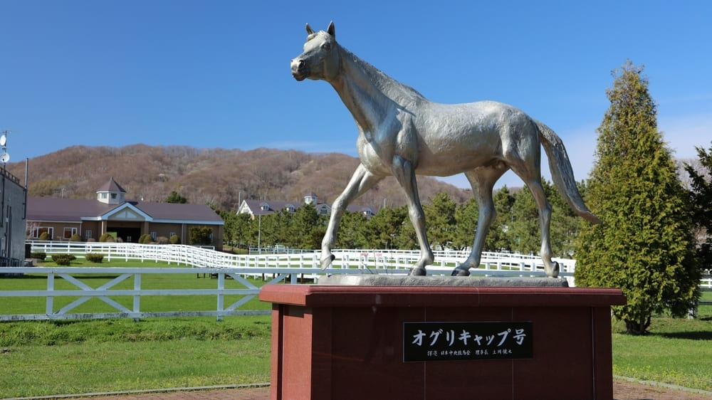 🐎泪崩！名马落幕，大川庆次郎“莱恩”喊话背后的真相！