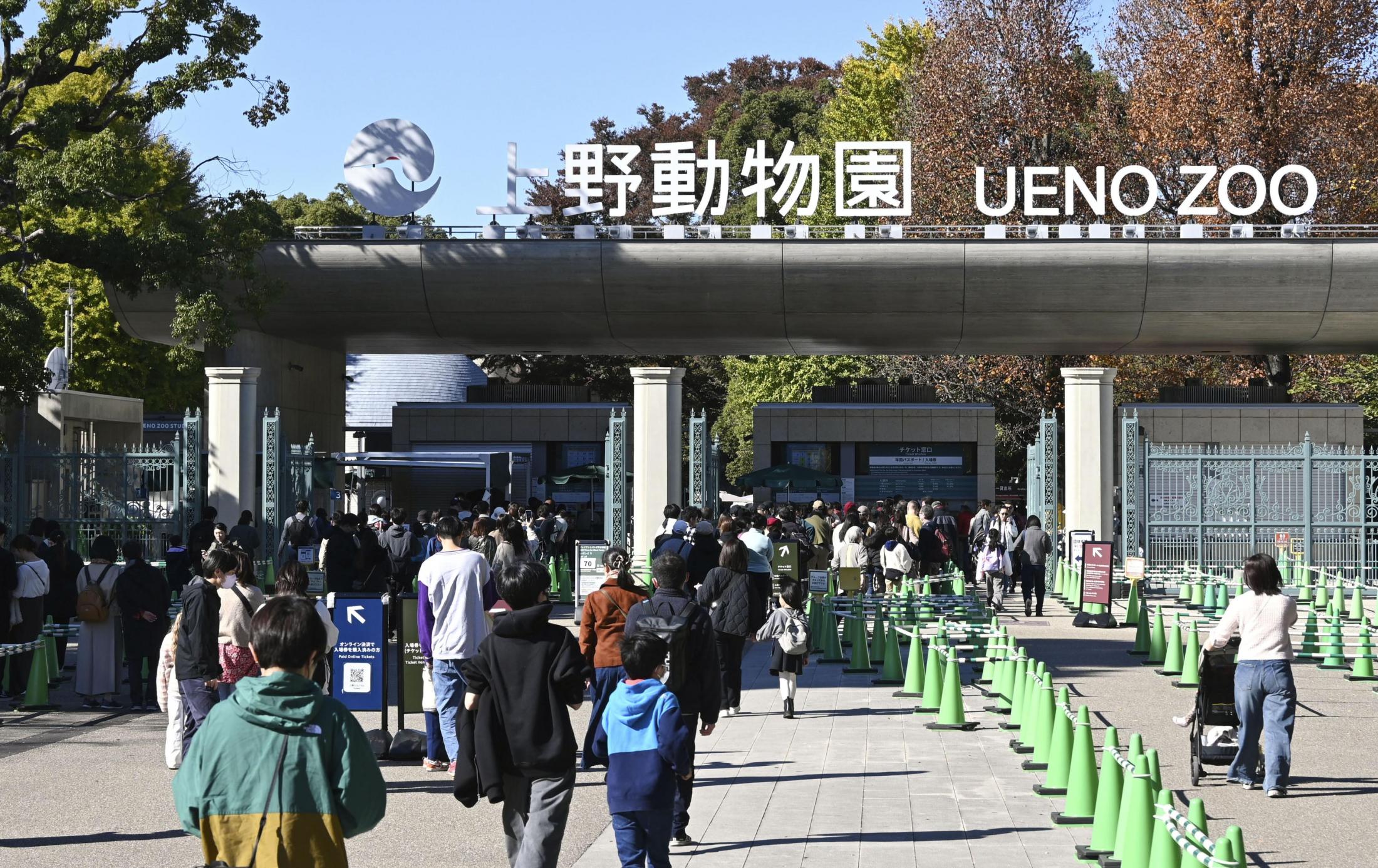 🐼大熊猫要“断交”？中日关系紧张，让人揪心！