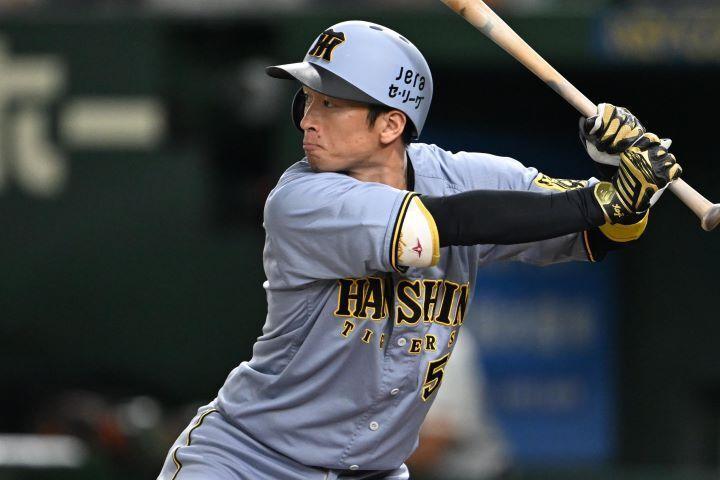 🔥阪神争夺战再起！30岁外野手，今冬FA大戏！