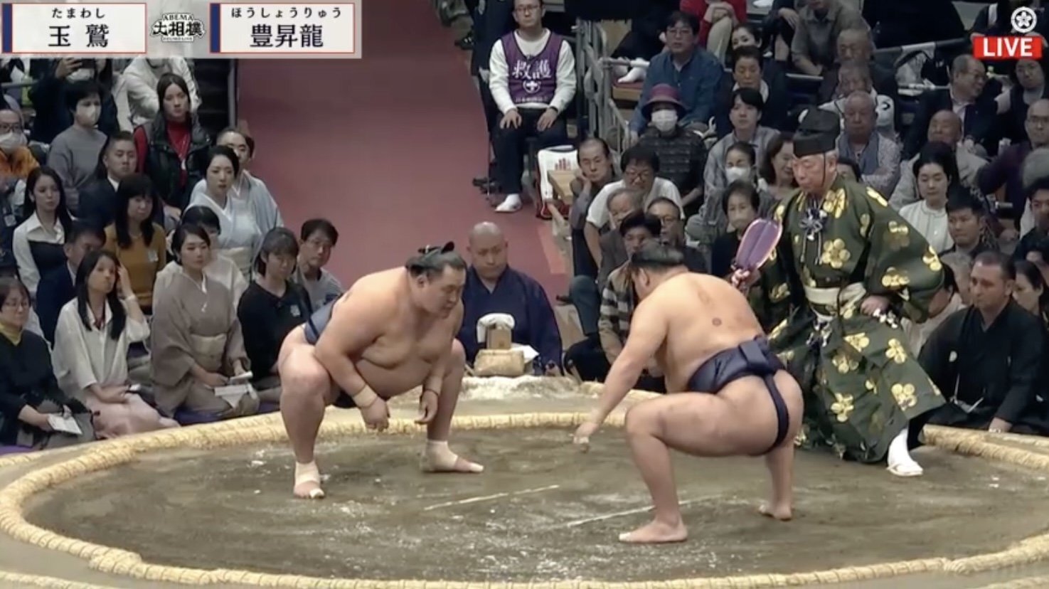 📢大相扑：观众起哄，名嘴怒了！太吵了，影响发挥！