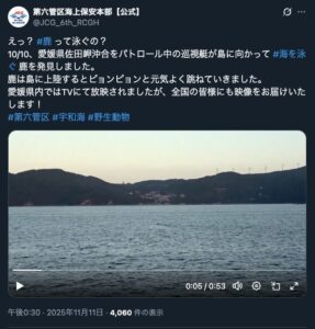 🌊 震惊！小鹿竟然在海里游泳，萌翻网友！ 封面
