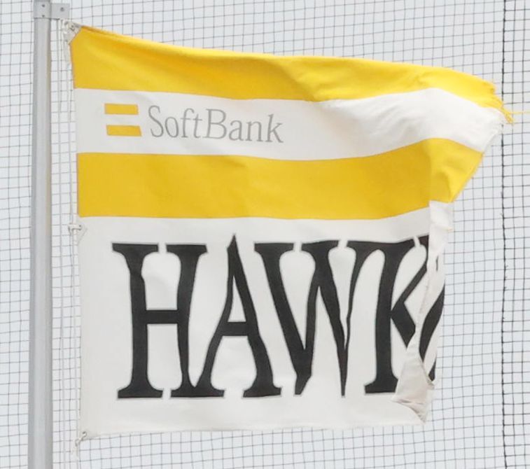 ⚾️ 软银争抢台湾王牌！秘密接触，豪门设施大展示！