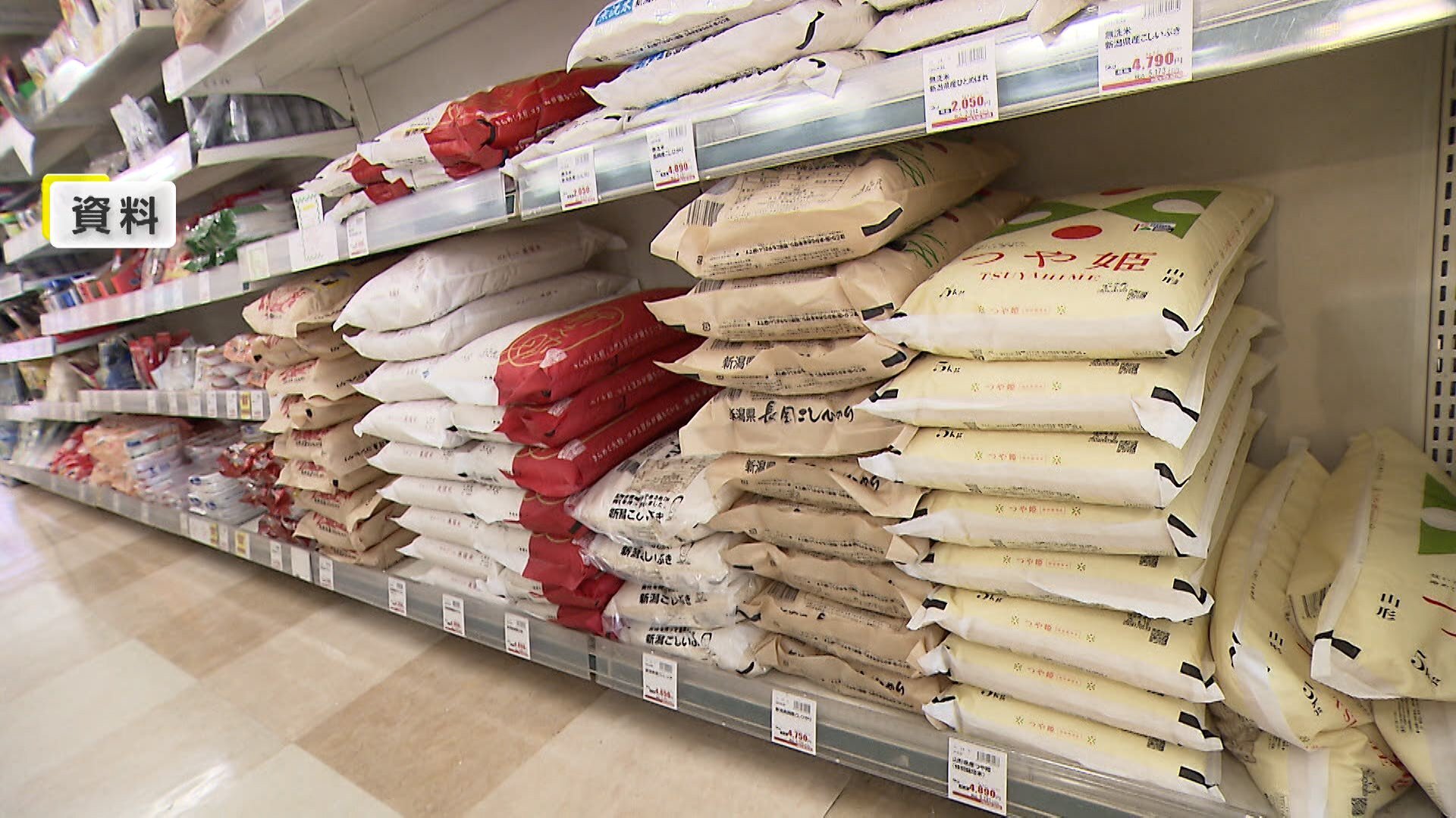 🍚米价又涨了！两周内再创新高，吃不起啦！