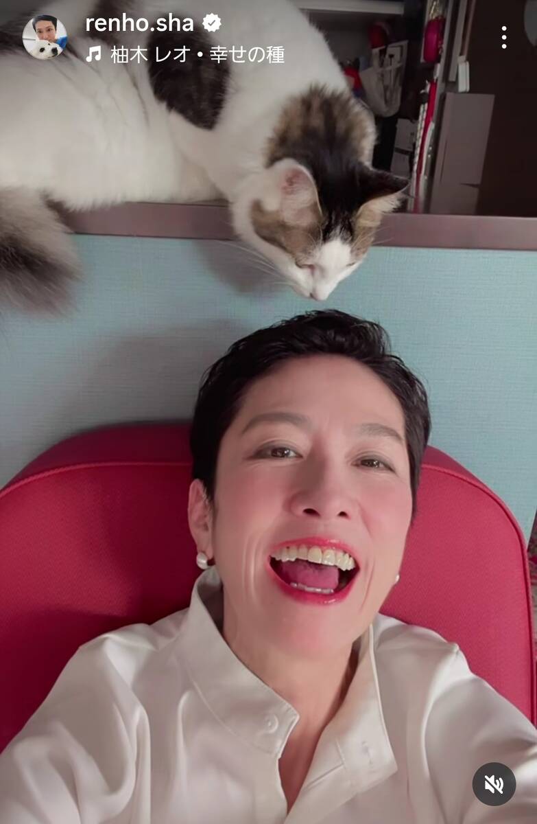 🌸莲舫“逆袭”美翻了！猫奴一面萌化众人！