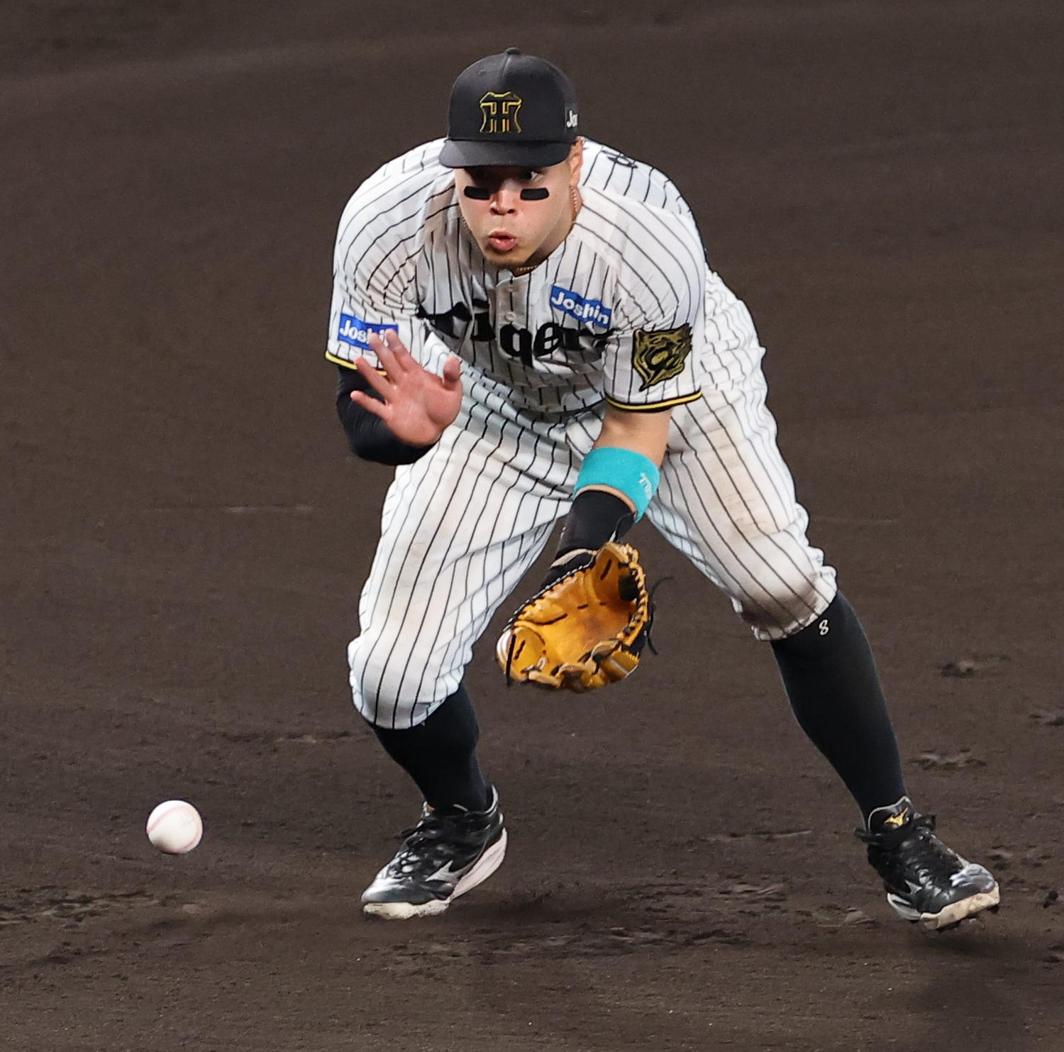 🏆阪神金手套：零票背后，真相竟是…？！