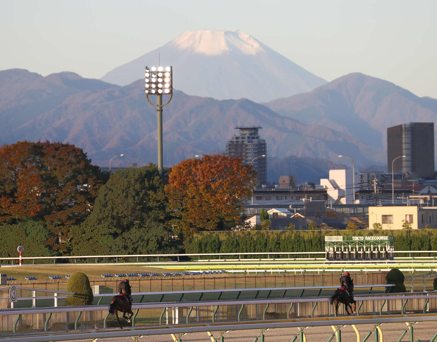 💥日本杯：年度盛况，竟沦为一场空？