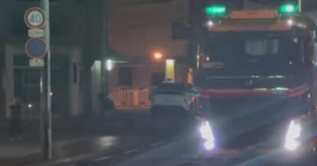 😱深夜惊现巨物！一生必看，亲眼见绝对震撼！