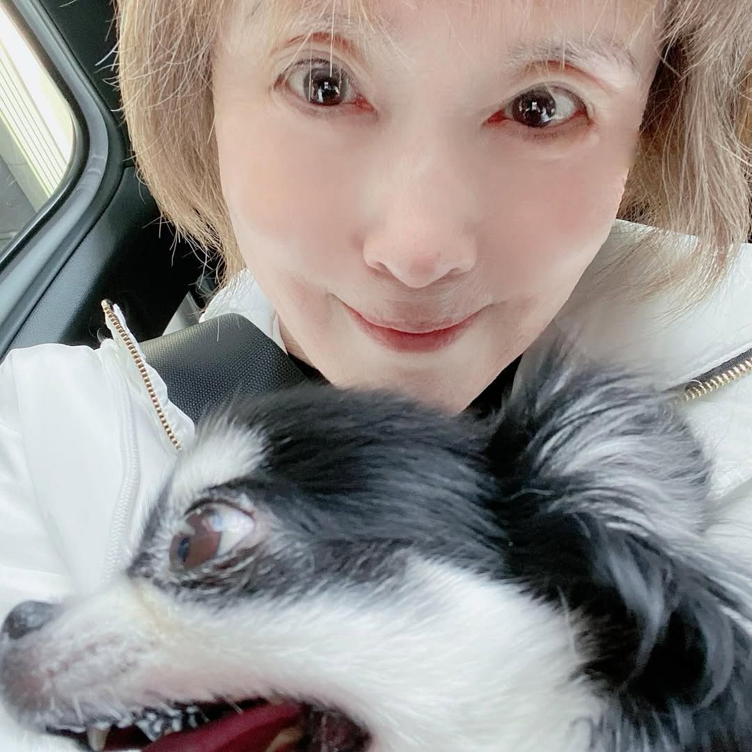 💔 痛心！小柳ルミ子近照曝光，爱犬离世4月仍难愈。