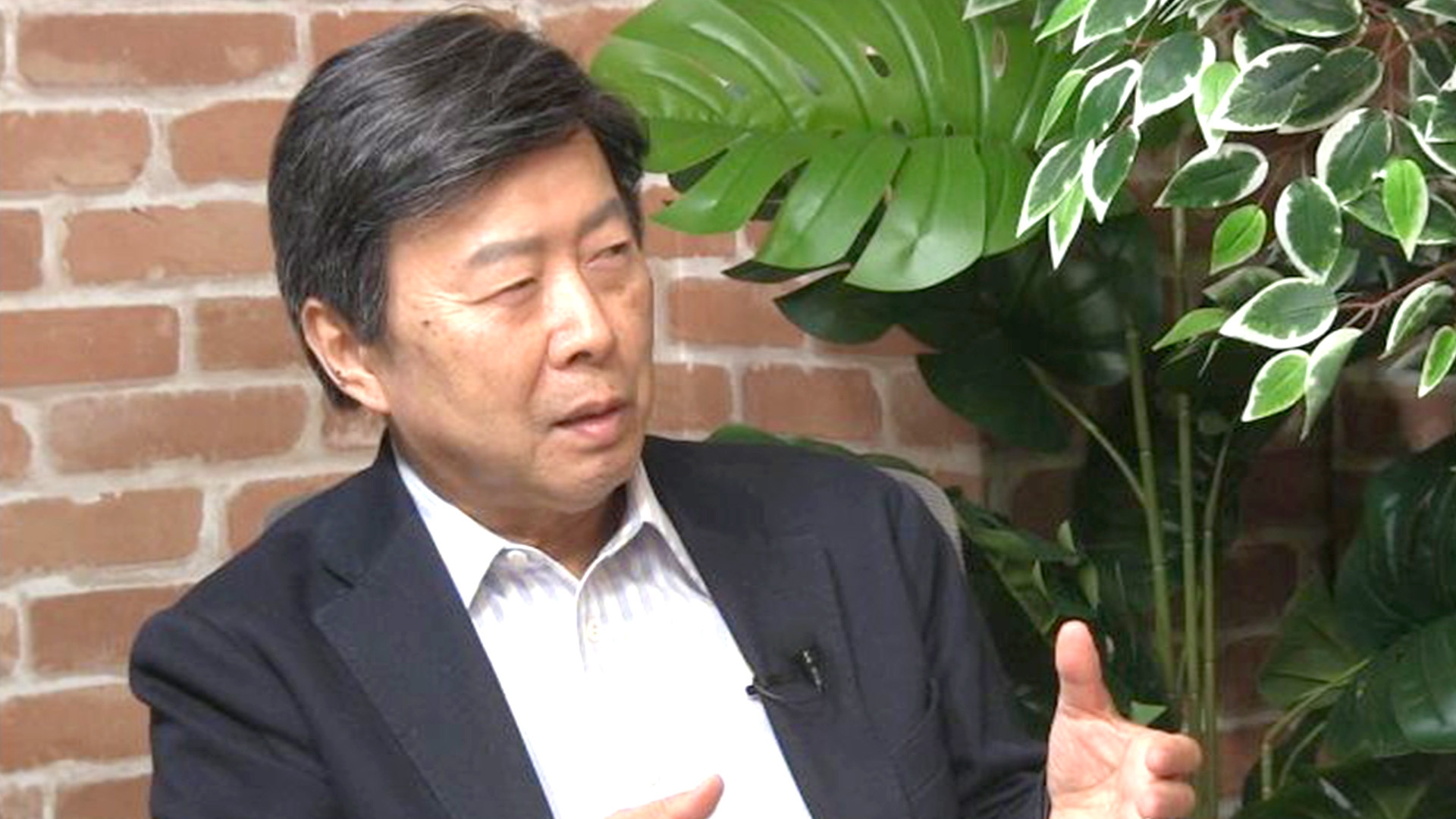 💥律师揭秘：网络暴力逼死政客，日本该如何应对？