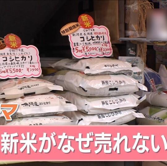 🍚丰收为何米价涨？粮商囤货，明年或跌破30元！