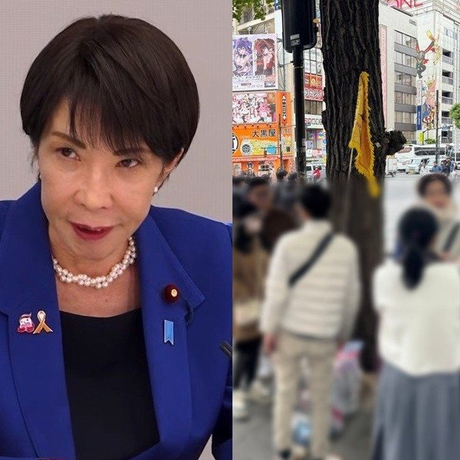 💥🇯🇵中国旅游崩盘！制裁风暴来袭，留日恐慌！