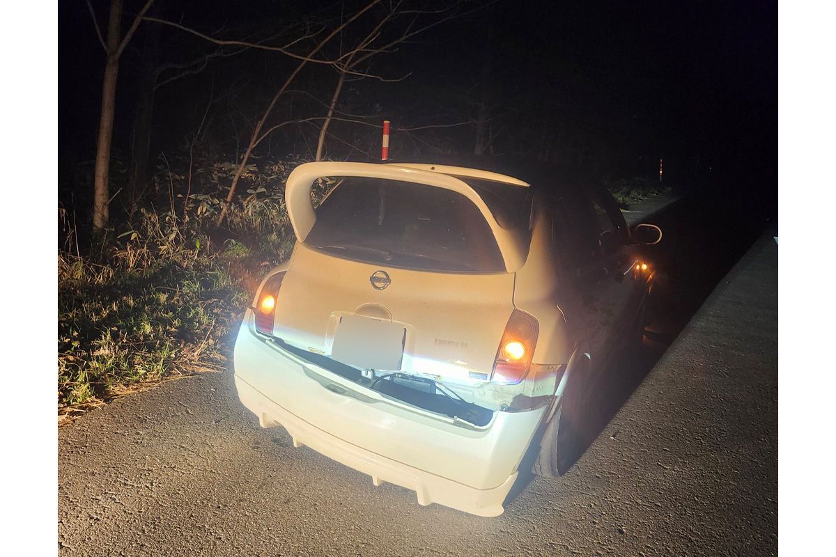 💥熊出没！爱车惨烈撞击，网友：这熊也太猛！