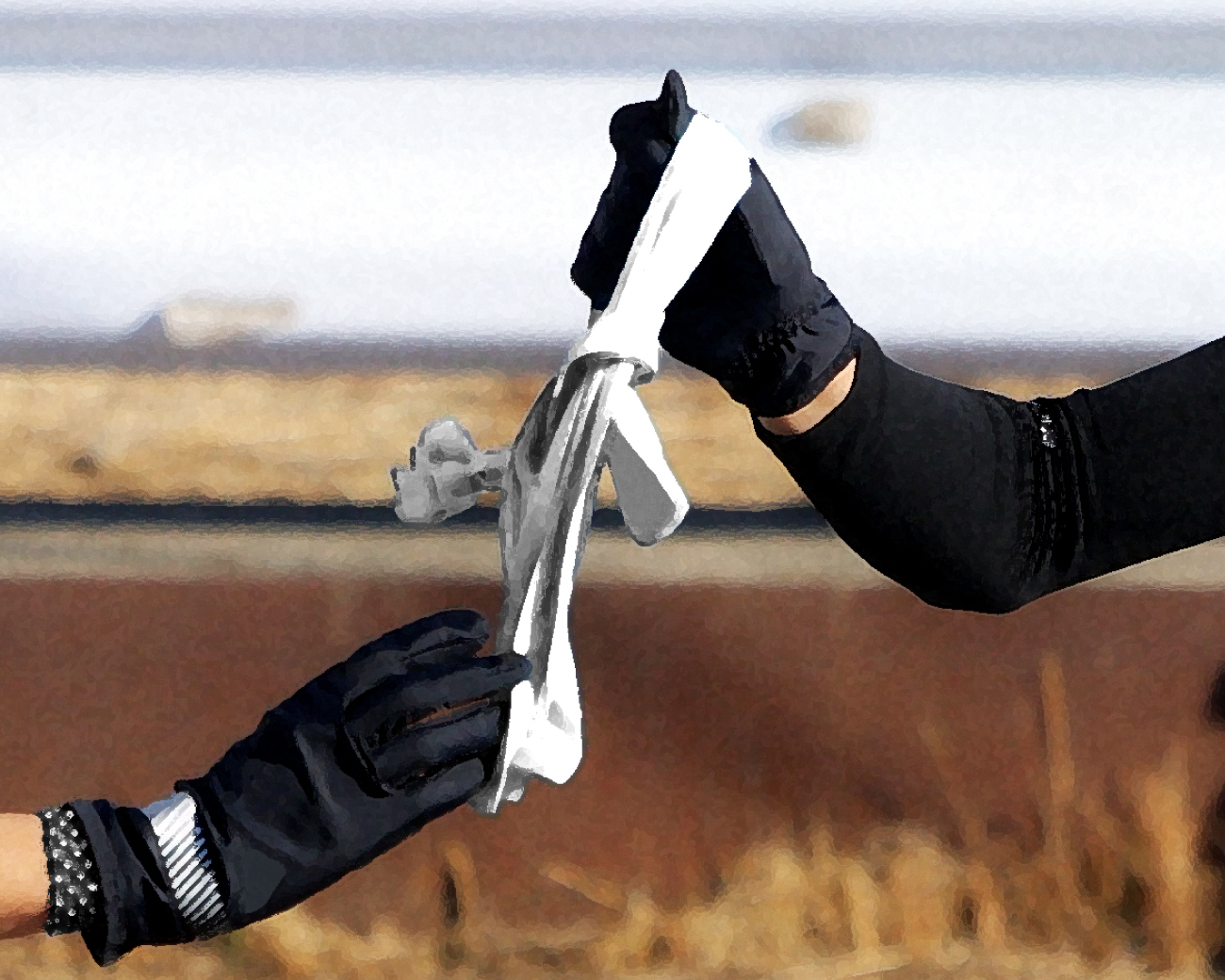 🏃‍♂️冤种逆袭！被误导的学园，也能跑进关东大赛！