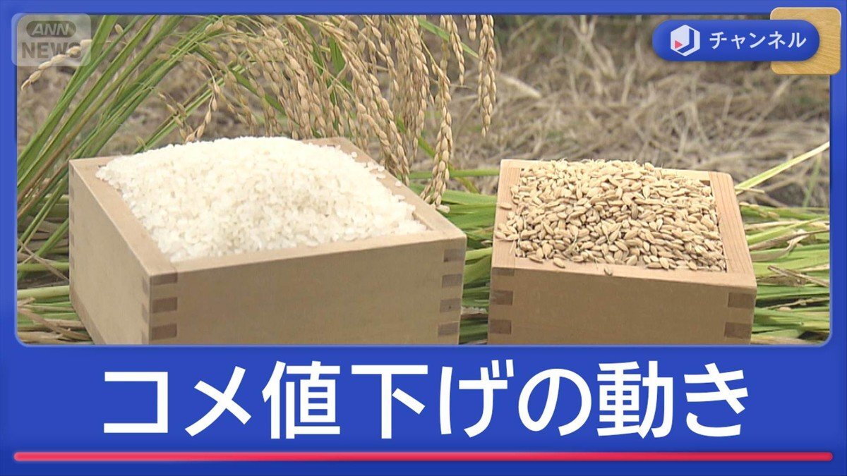 🍚米价飞涨何时休？降价曙光现！