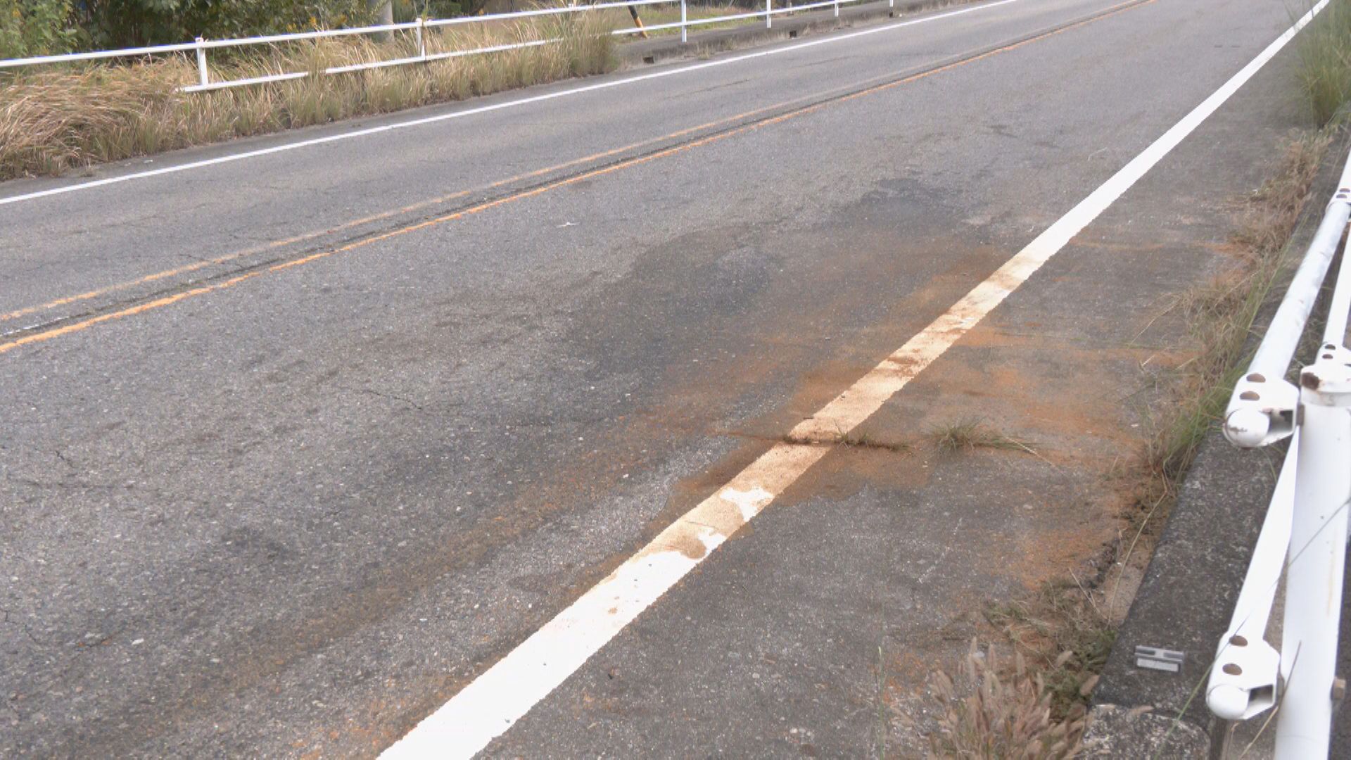 🚨轻卡司机遇难！肇事逃逸，48岁公司高管弃车逃跑！