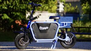 🐶16岁以上就可驾！带娃/狗电动车，真香！ 封面