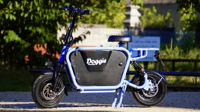 🐶16岁以上就可驾！带娃/狗电动车，真香！