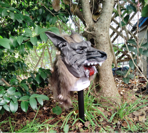 🚨熊来了？！光+声+狼嚎，吓退野兽！