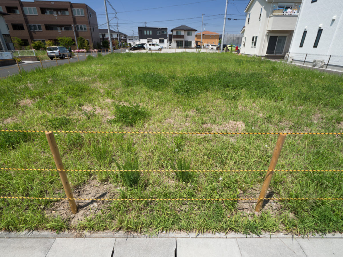 🏡祖父母留下的地，每年光税就得一万二！荒废的夏天，只剩除草…