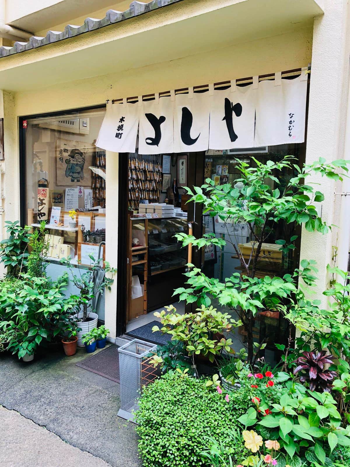 💥游客放鸽子！老店崩溃：生意全没了！