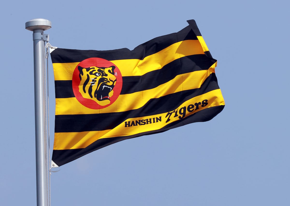 💥阪神捡漏了！大炮级猛将，内野火力升级！