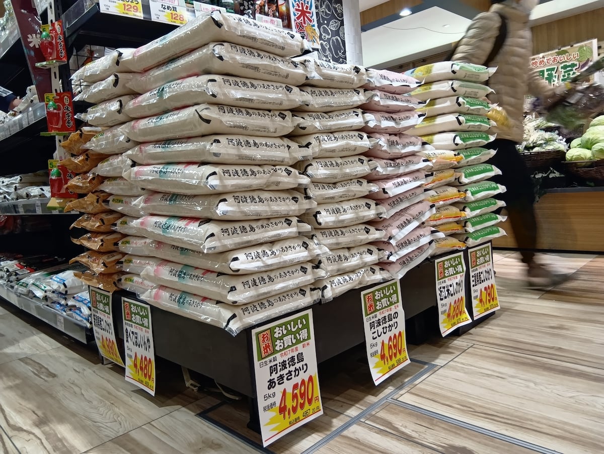 🍚米价太离谱！我改吃面包了！