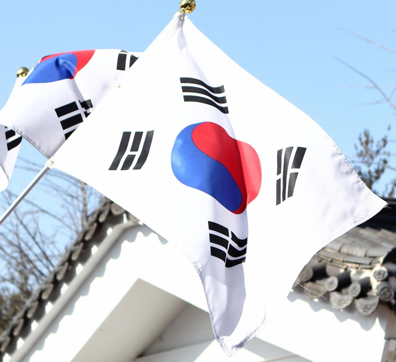 🚨韩：仅发现37具下半身遗体！日韩YouTuber被查！