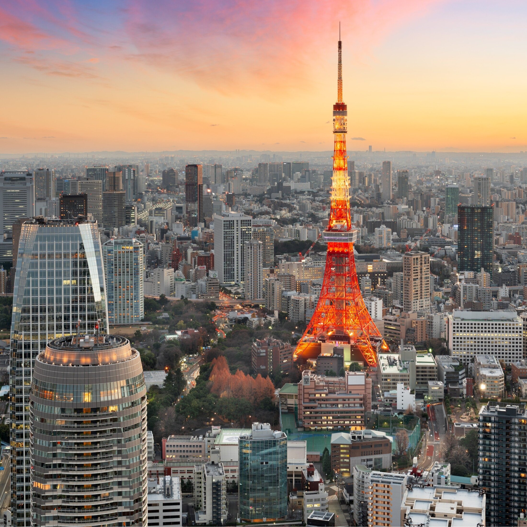 🚨房租暴涨！东京：不交就滚？租客真没底线！