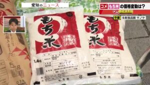 🍚米价疯涨11周！年内还能涨吗？糯米却跌了！ 封面