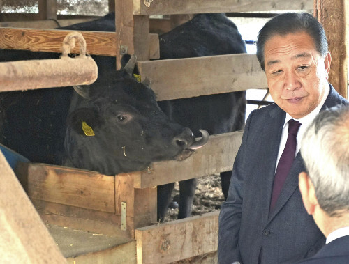 📢 惨淡立民：放下身段，倾听民意！