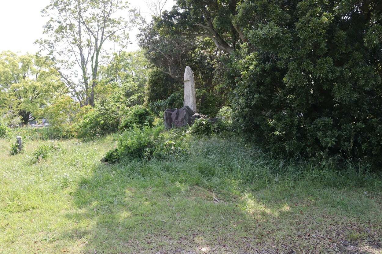 🌿躲在草丛里的他们，你能认出吗？超难自卫队挑战！