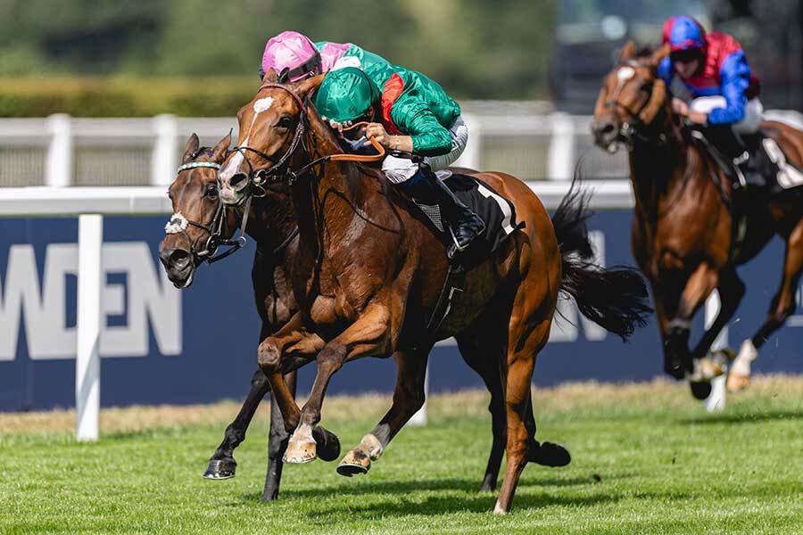 🔥神马降临！这匹马…简直了！