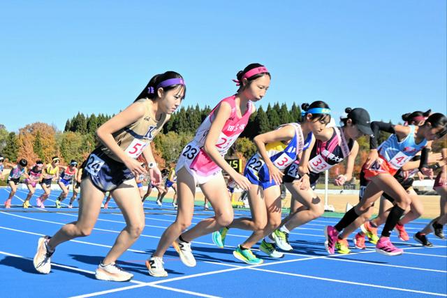 🐻 熊出没！东北高校驿传，竟成“光杆”赛跑！