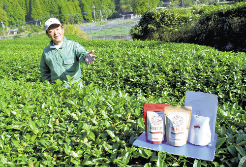 🔥红茶逆袭！九州茶火了，阿萨希都抢着要！