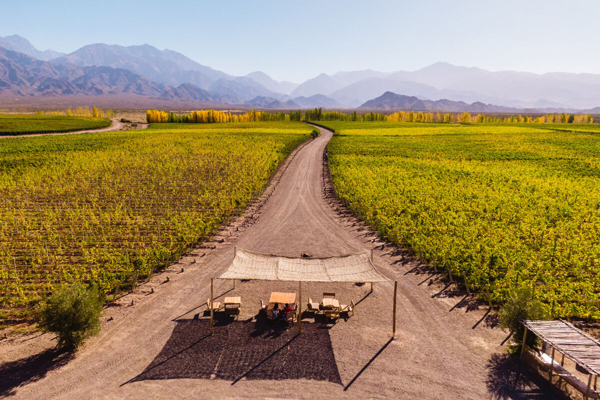🍷年度最佳酒庄揭秘！醉美世界，一口就上瘾！
