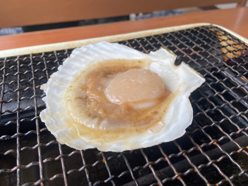 🌊🇯🇵告别中国海鲜！渔民们惊呆了…