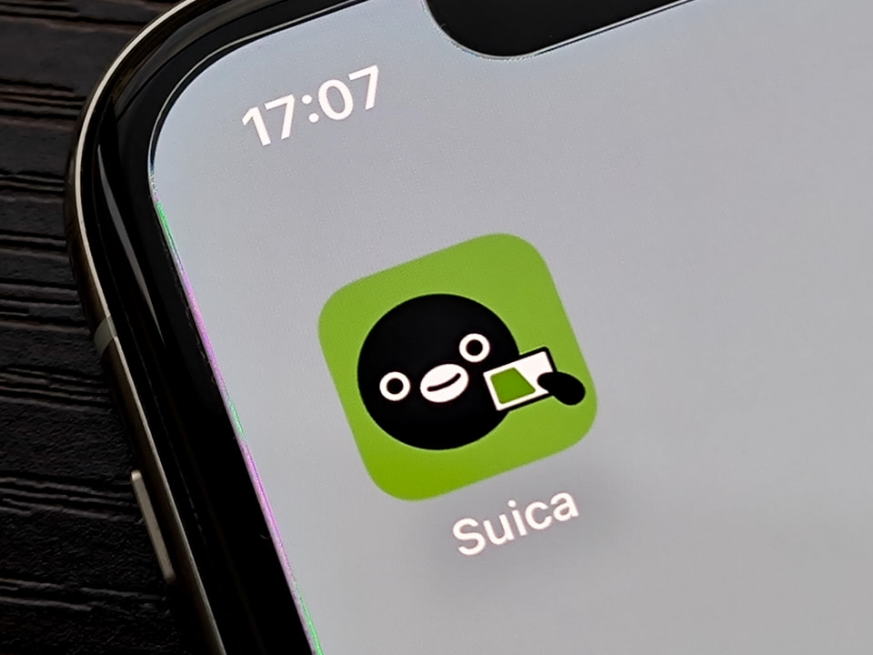 🐧Suica企鹅要毕业啦！😭 2026说再见！