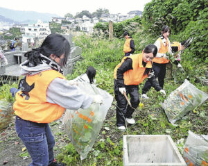 🧹尘封的墓碑，跨越国界的友谊！ 封面