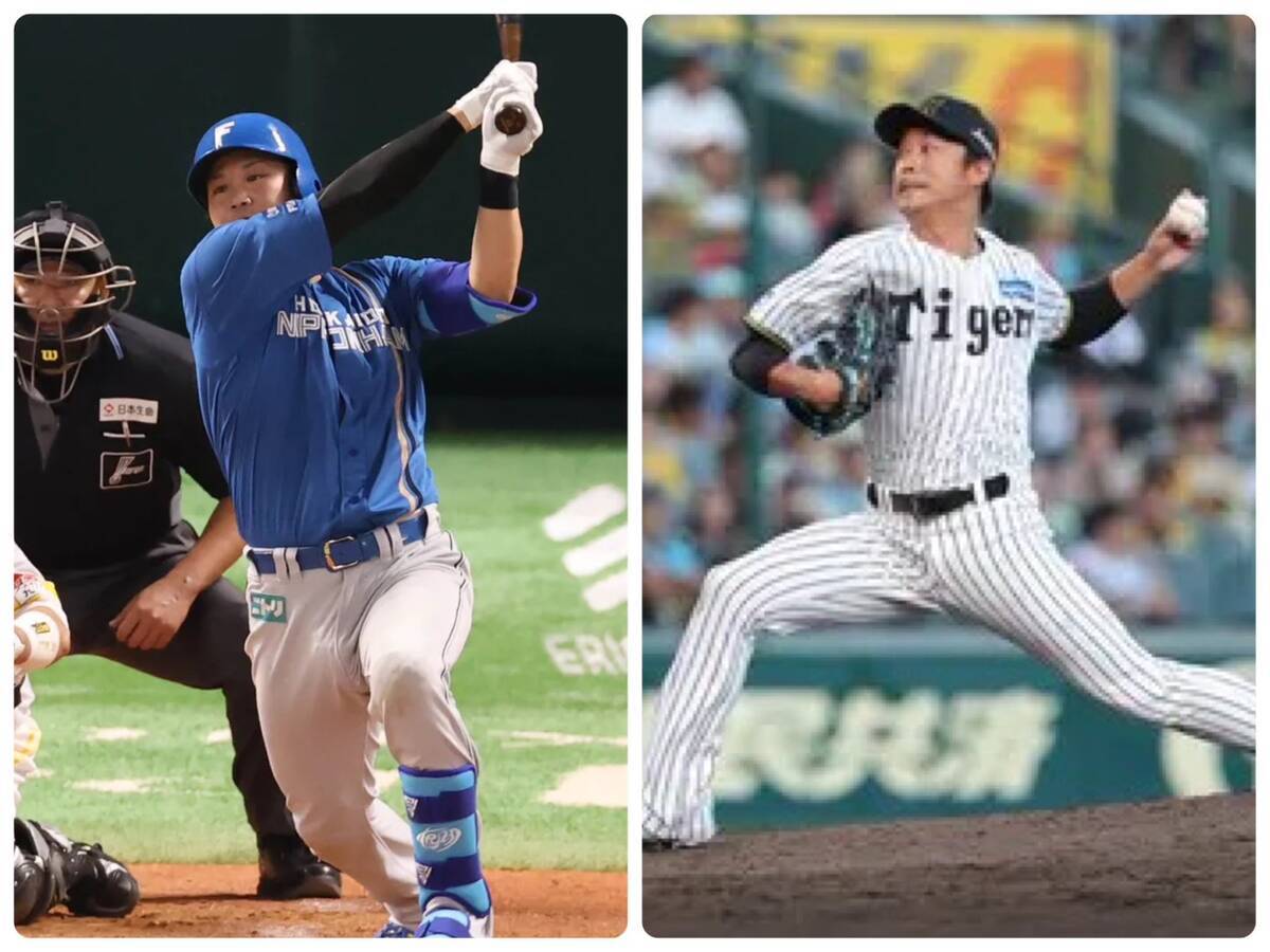 💥伏見寅威：被交易的真相！渴望上场，球队补强！