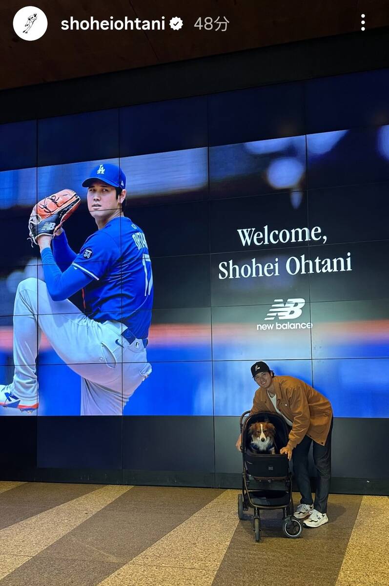 👶大谷翔平推娃啦！萌翻网友：太可爱了！