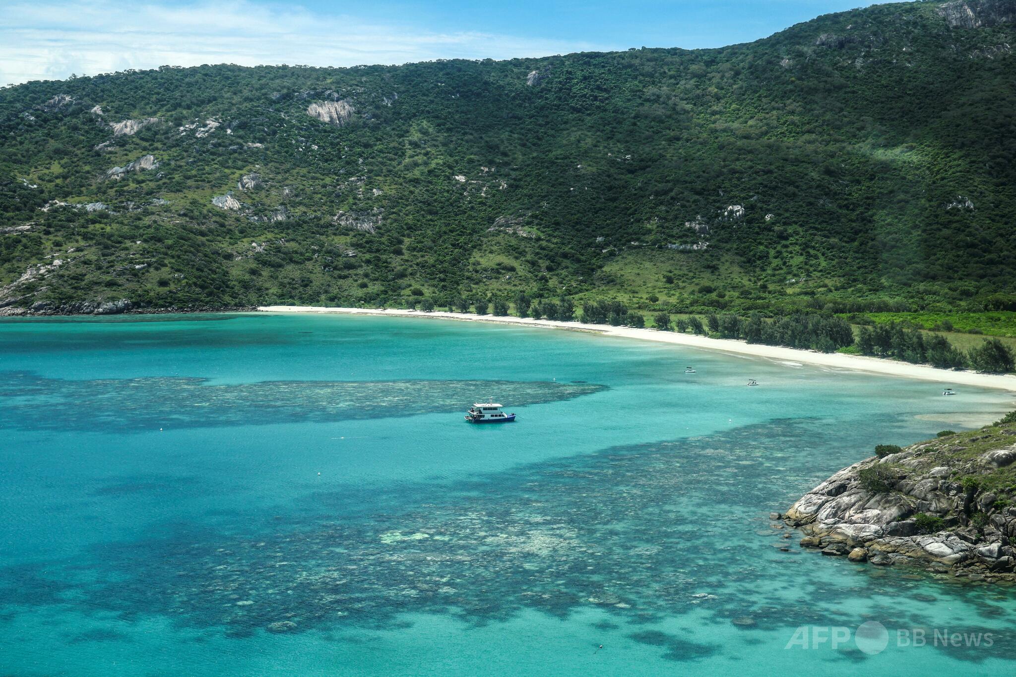 🚨孤岛弃客身亡！豪华游轮行竟成噩梦！