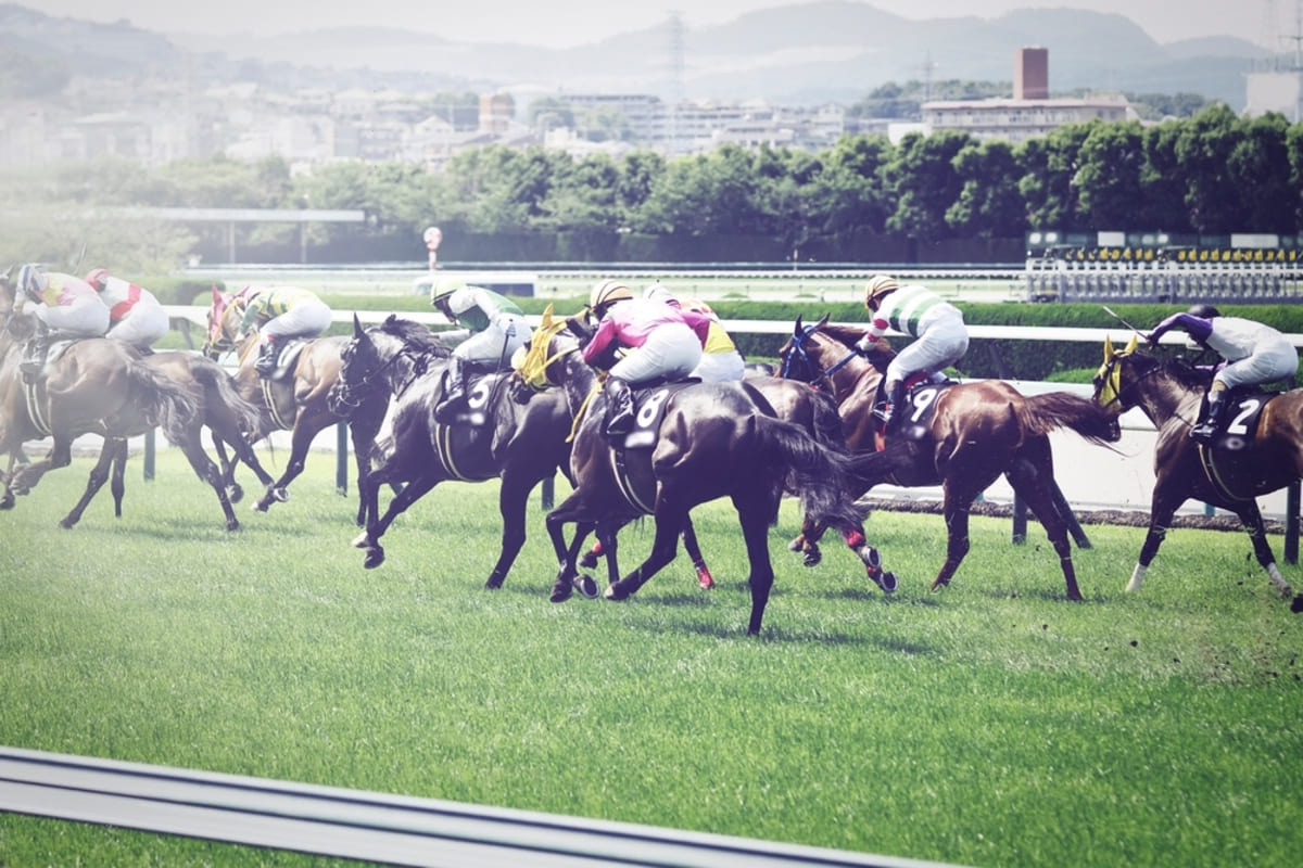 🎉中100万！彩票一样不交税？🐎花20万买马票，真值了！