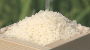 🍚米券真能降价？限制、缩水、炒卖…帮到你了吗？ 封面