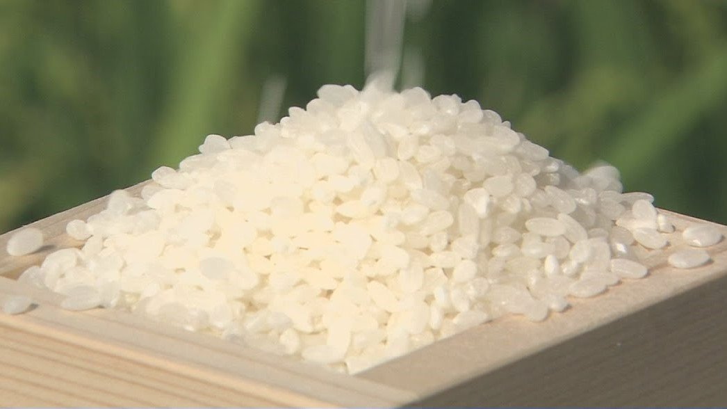 🍚米券真能降价？限制、缩水、炒卖…帮到你了吗？