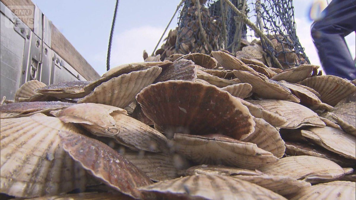 🚨日本海鲜全线崩盘？中国叫停进口，日料店遭殃！