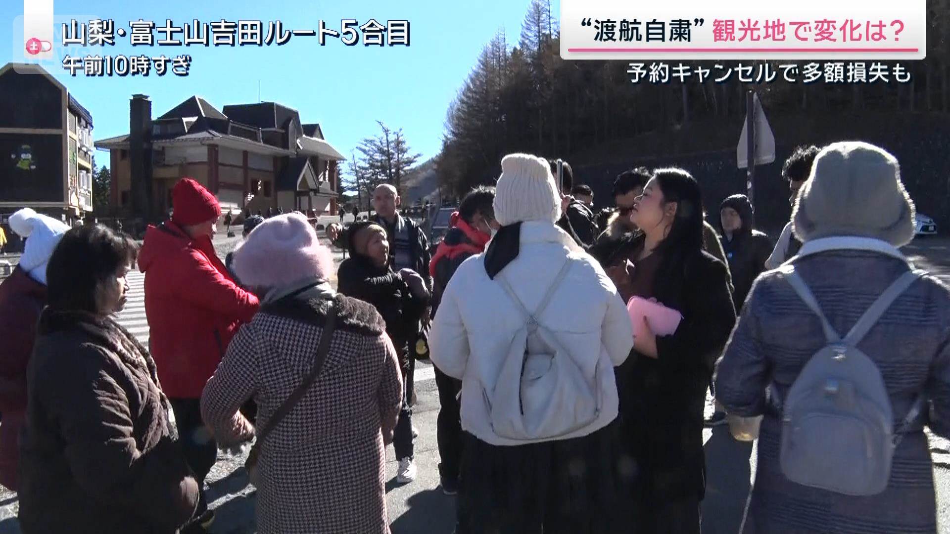 🔥旅行取消潮：4000万损失！出行遇冷，谁来买单？