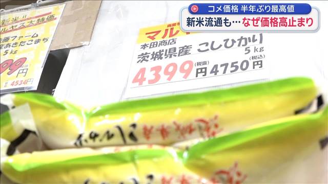 🍚半年新高！大米降价攻略，专家支招！